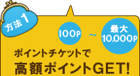 ポイントチケットで高額ポイントGET!