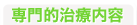 専門的治療内容